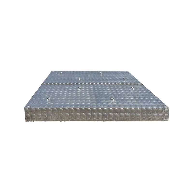 sectione domestica aqua cisternina immaculatam ferro
